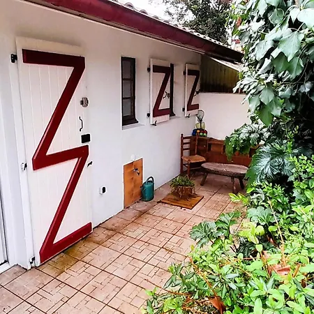 Cosy A Capbreton, Proche Plages Et Commerces, Parking Inclus - Fr-1-239-1028 *