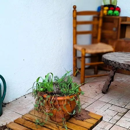 公寓 Cosy A Capbreton, Proche Plages Et Commerces, Parking Inclus - Fr-1-239-1028 *