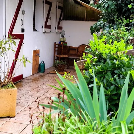 Cosy A Capbreton, Proche Plages Et Commerces, Parking Inclus - Fr-1-239-1028 公寓 卡布勒通